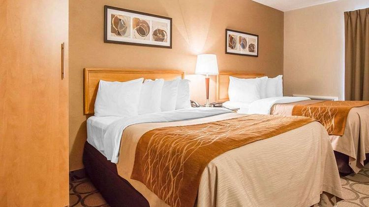 Comfort Inn Room