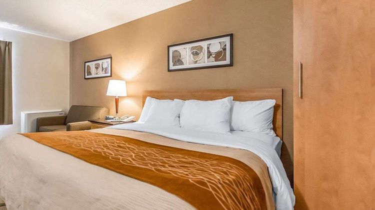 Comfort Inn Room