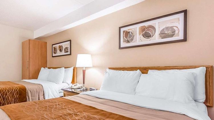 Comfort Inn Room