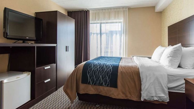 Comfort Inn Room