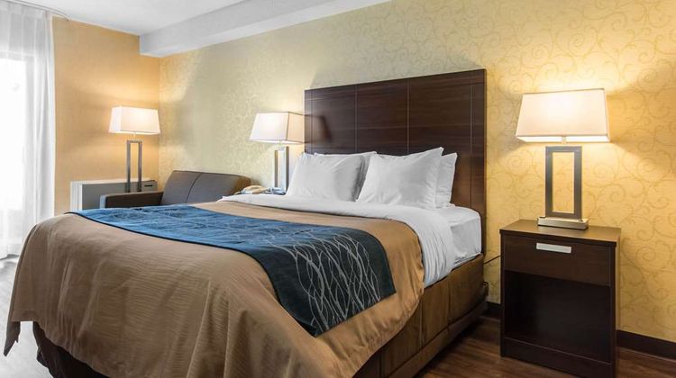 Comfort Inn Room