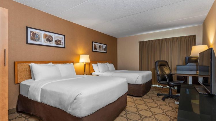 Comfort Inn Prince Albert Room