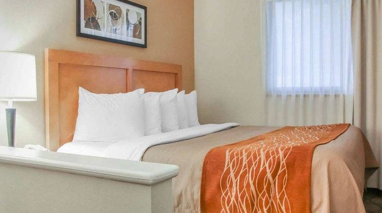 Comfort Inn South Room