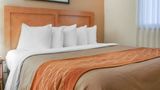 Comfort Inn Winnipeg South Room