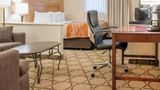 Comfort Inn Winnipeg South Room