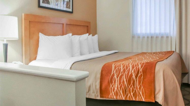 Comfort Inn South Room