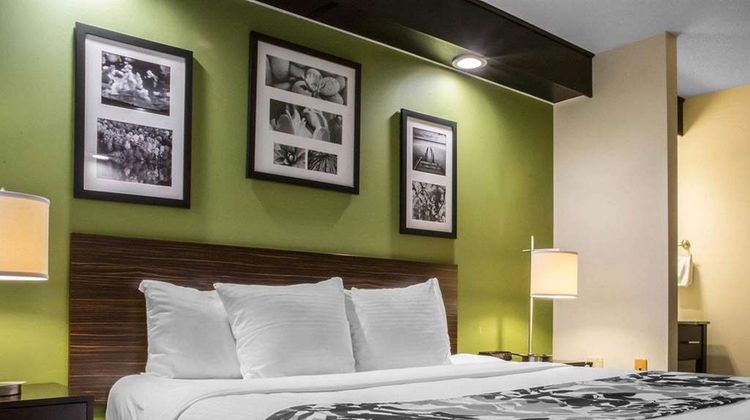 Comfort Inn Room