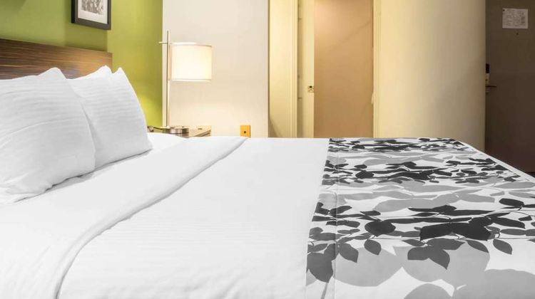 Comfort Inn Room