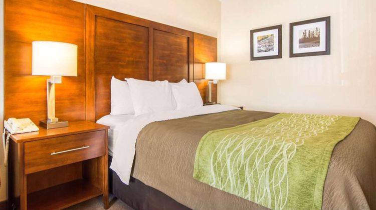 Comfort Inn & Suites Shawinigan Room