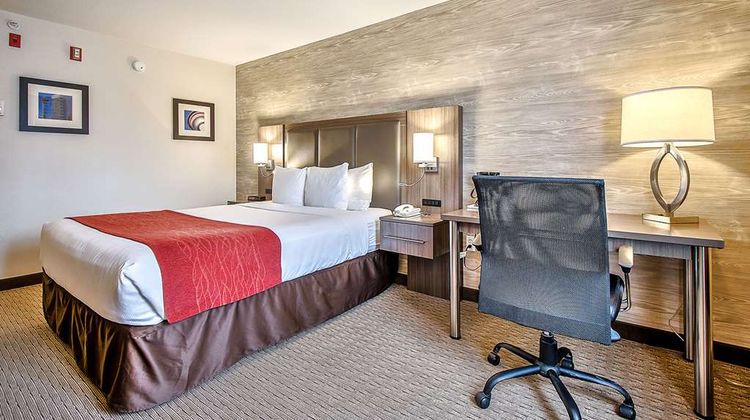 Comfort Inn & Suites South Room