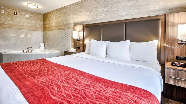 Comfort Inn & Suites South Room