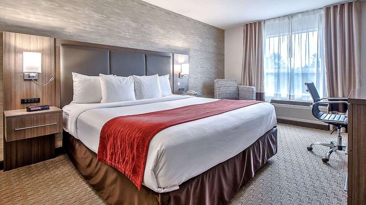 Comfort Inn & Suites South Room
