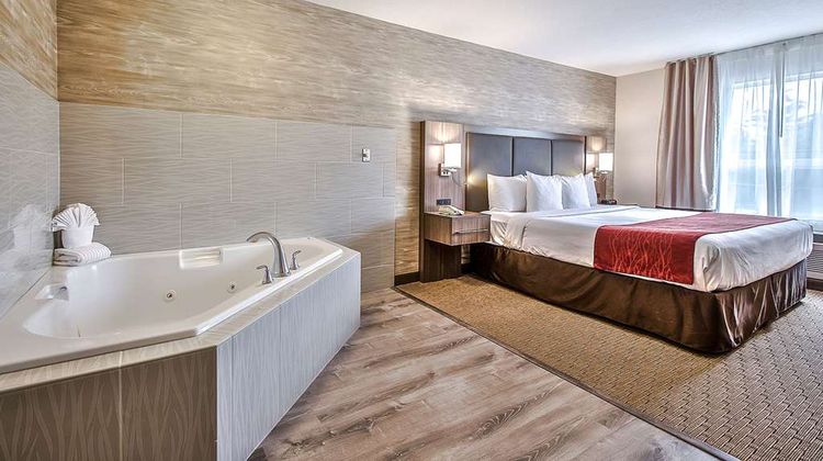 Comfort Inn & Suites South Room