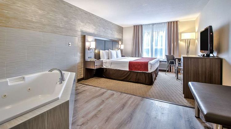 Comfort Inn & Suites South Room