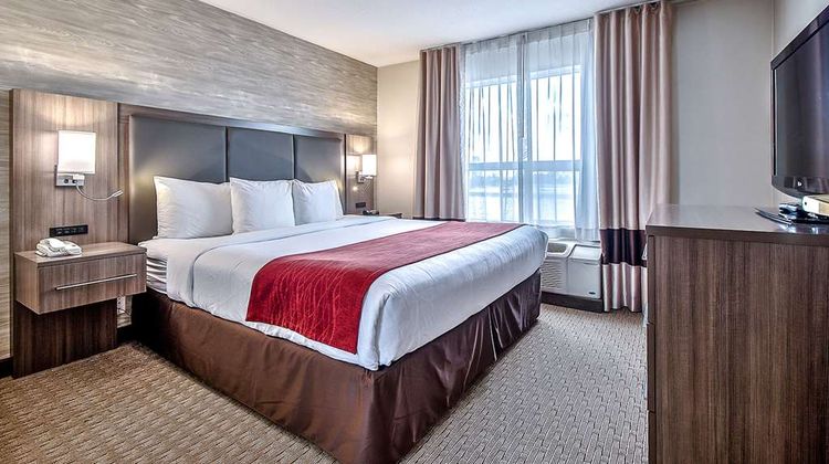 Comfort Inn & Suites South Room