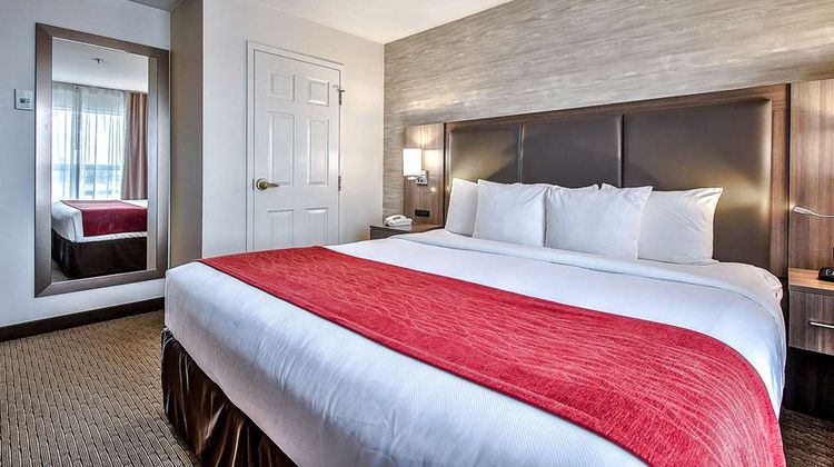 Comfort Inn & Suites South Room