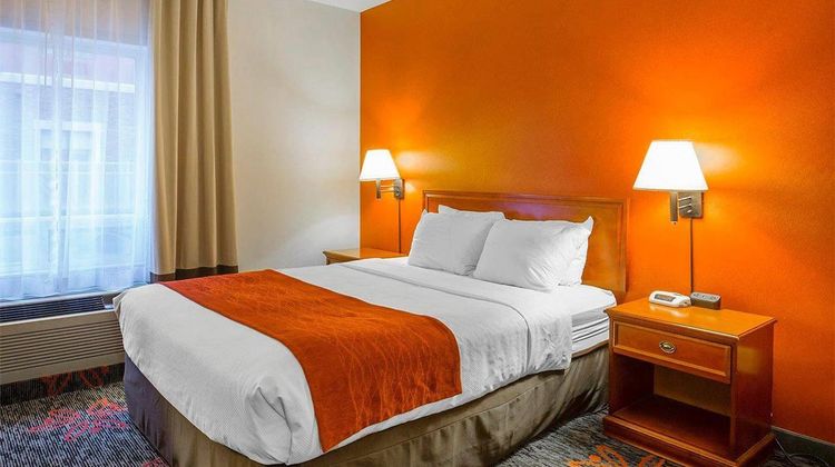 Comfort Inn & Suites University Room