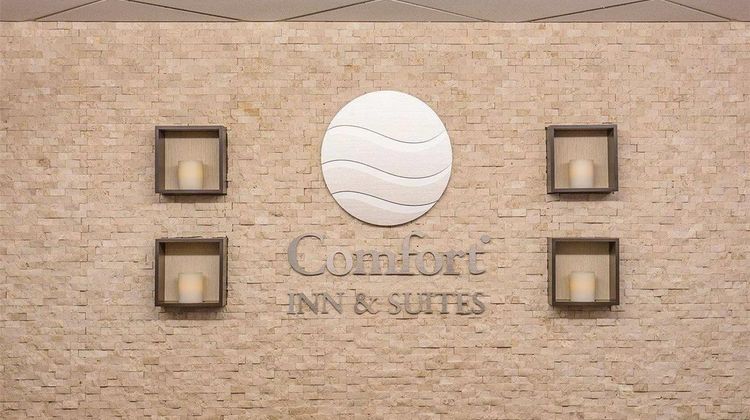 Comfort Inn & Suites University Lobby
