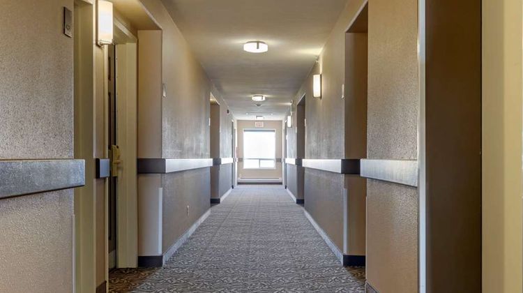 Comfort Inn Lethbridge Other