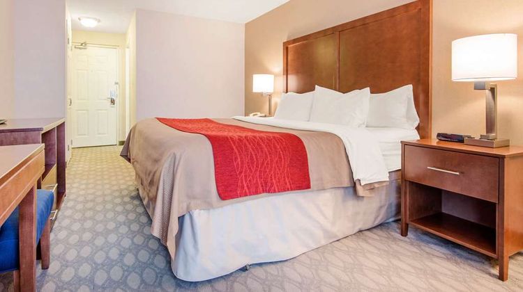 Comfort Inn Fallsview Room