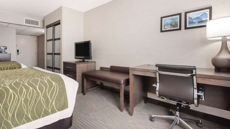 Comfort Inn & Suites Red Deer Room