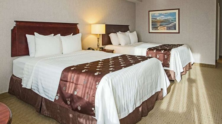Quality Inn & Suites Downtown Charlottet Room