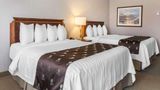 Quality Inn & Suites Downtown Charlottet Room