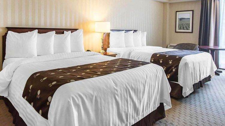 Quality Inn & Suites Downtown Charlottet Room