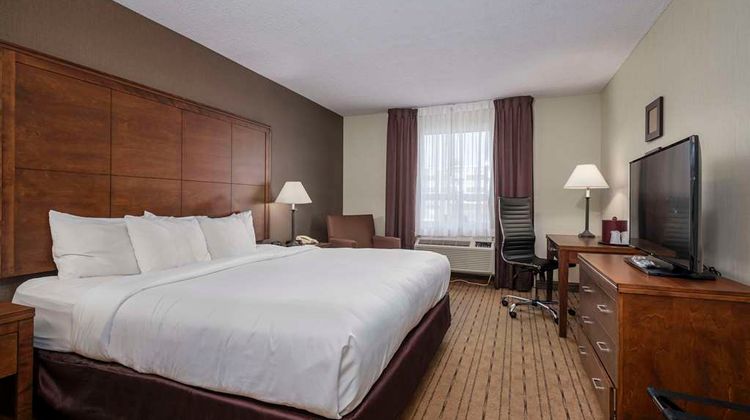 Comfort Inn Room