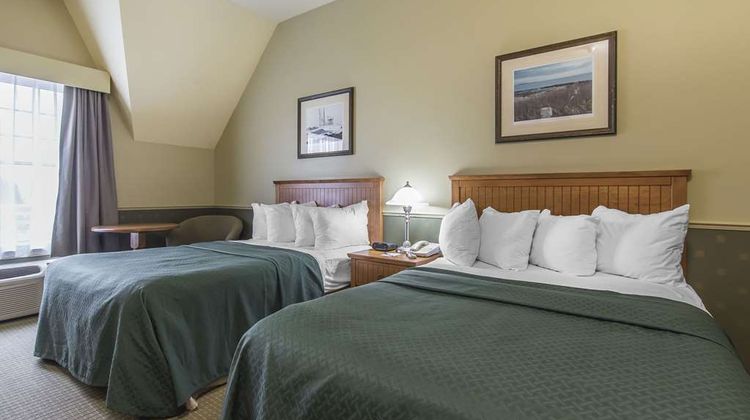 Quality Inn Room