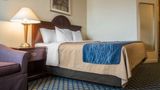 <b>Comfort Inn & Suites Room</b>. Images powered by <a href="https://iceportal.shijigroup.com/" title="IcePortal" target="_blank">IcePortal</a>.