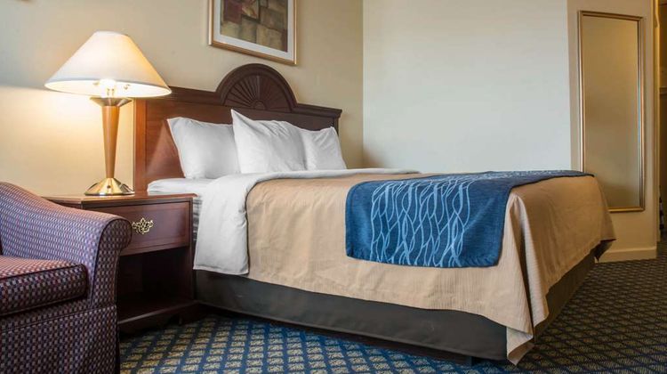 Comfort Inn & Suites Room