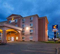 Comfort Inn & Suites Exterior