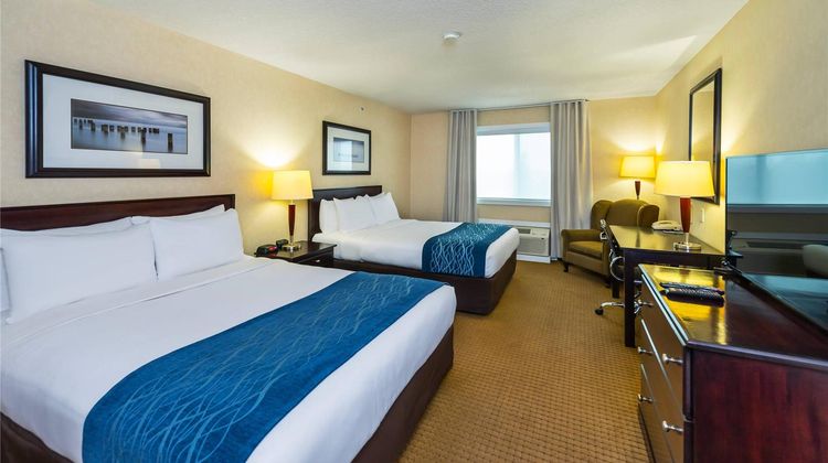 Comfort Inn & Suites Room
