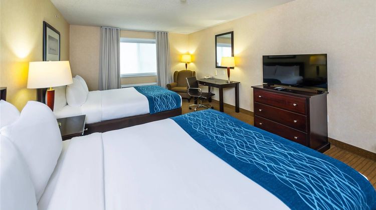 Comfort Inn & Suites Room