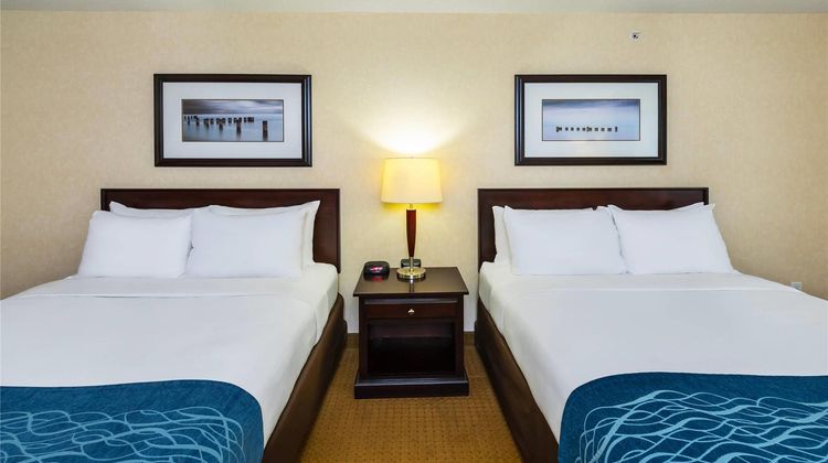 Comfort Inn & Suites Room