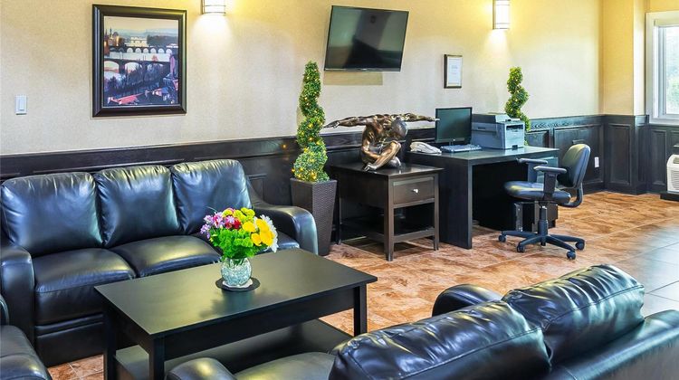 Comfort Inn & Suites Other