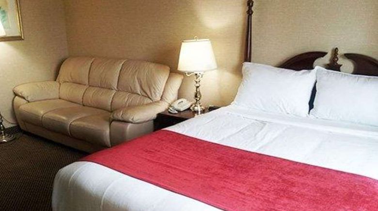 <b>Econo Lodge City Centre Kingston Room</b>. Images powered by <a href="https://iceportal.shijigroup.com/" title="IcePortal" target="_blank">IcePortal</a>.