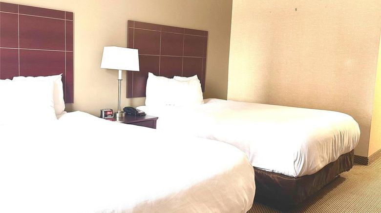 <b>Econo Lodge City Centre Kingston Room</b>. Images powered by <a href="https://iceportal.shijigroup.com/" title="IcePortal" target="_blank">IcePortal</a>.