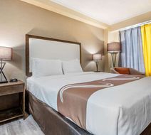 Quality Inn and Suites Room