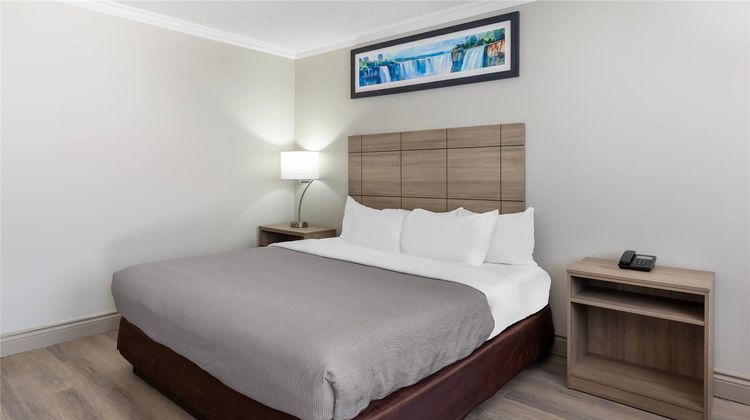 Quality Inn and Suites Room