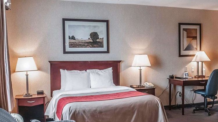 Comfort Inn Mississauga Room