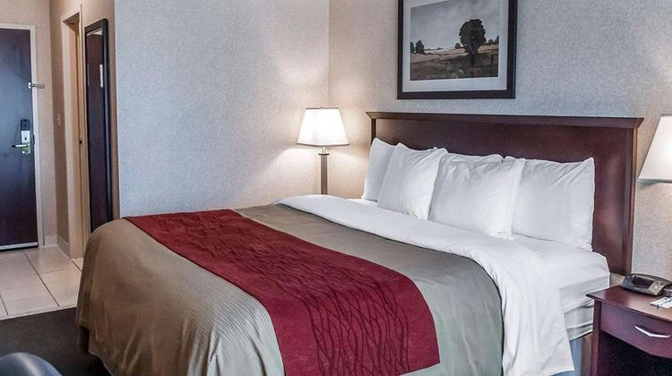 Comfort Inn Mississauga Room