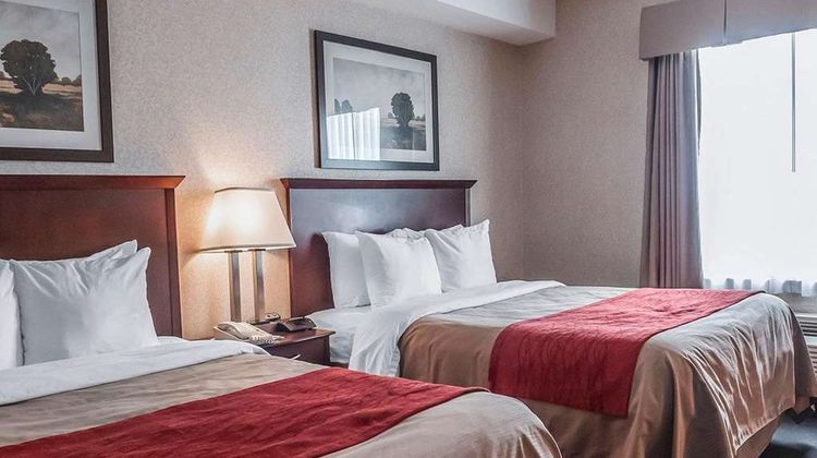 Comfort Inn Mississauga Room