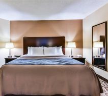 Comfort Inn & Suites Ambassador Bridge Room
