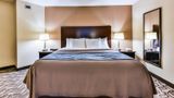 Comfort Inn & Suites Ambassador Bridge Room