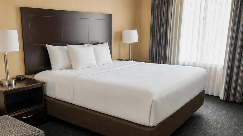 <b>Comfort Inn & Suites Ambassador Bridge Room</b>. Images powered by <a href="https://iceportal.shijigroup.com/" title="IcePortal" target="_blank">IcePortal</a>.