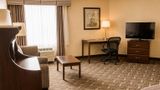 <b>Comfort Inn & Suites Ambassador Bridge Suite</b>. Images powered by <a href="https://iceportal.shijigroup.com/" title="IcePortal" target="_blank">IcePortal</a>.