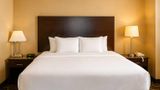 <b>Comfort Inn & Suites Ambassador Bridge Suite</b>. Images powered by <a href="https://iceportal.shijigroup.com/" title="IcePortal" target="_blank">IcePortal</a>.