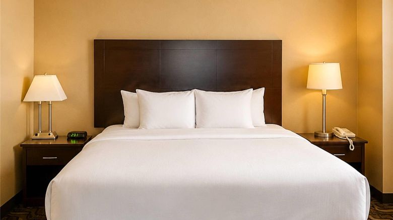 <b>Comfort Inn & Suites Ambassador Bridge Suite</b>. Images powered by <a href="https://iceportal.shijigroup.com/" title="IcePortal" target="_blank">IcePortal</a>.